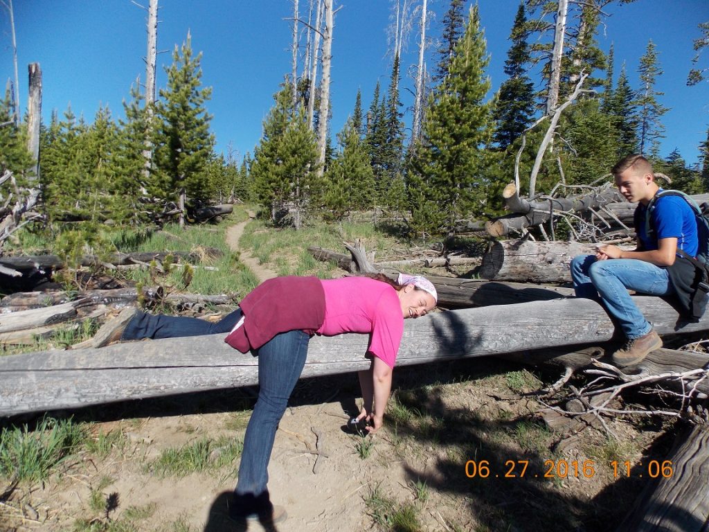 yellowstone trail hike