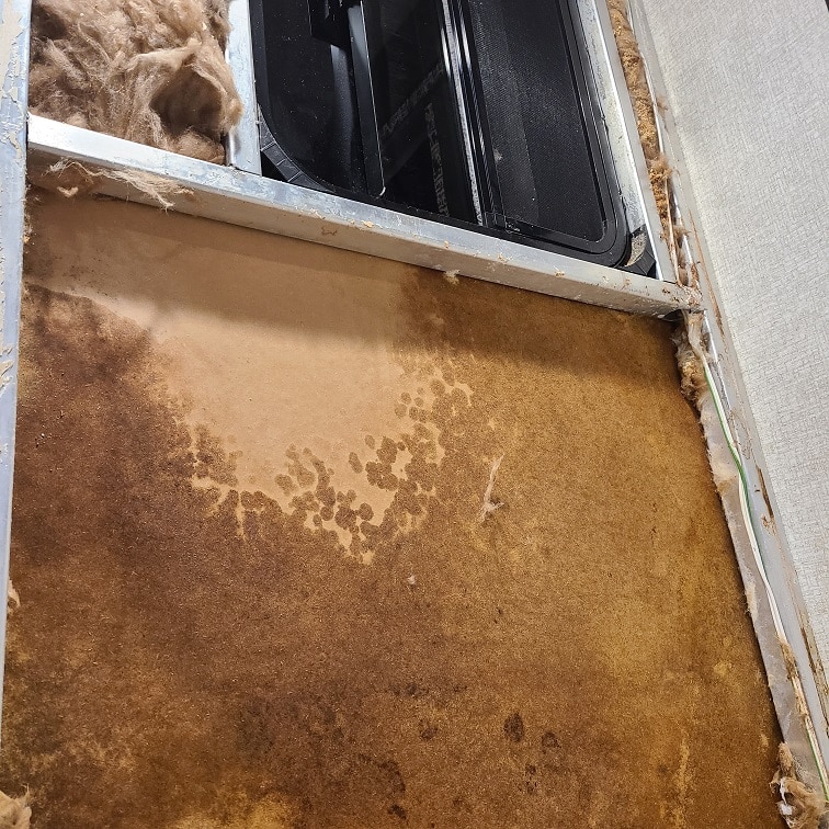 Mold In RV